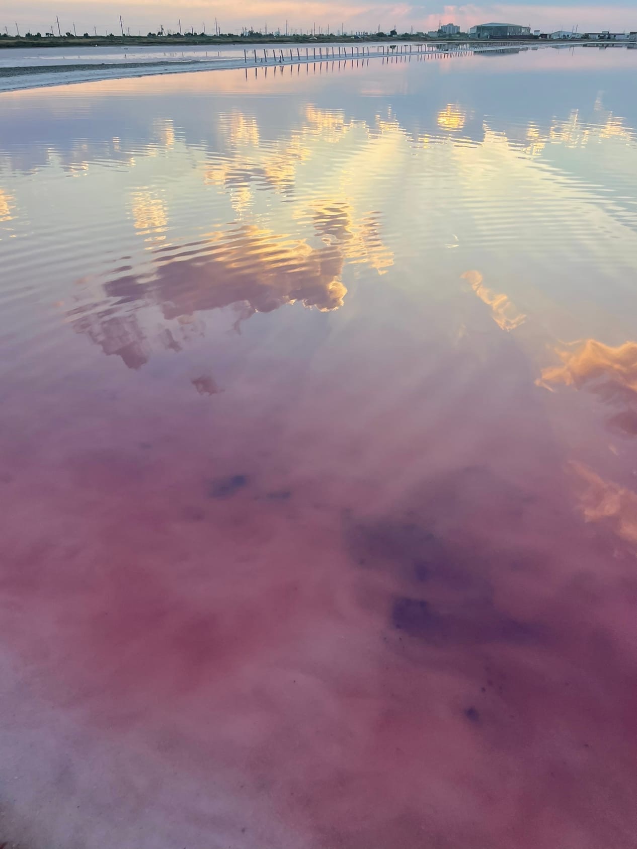 Почему озеро Сасык-Сиваш розовое